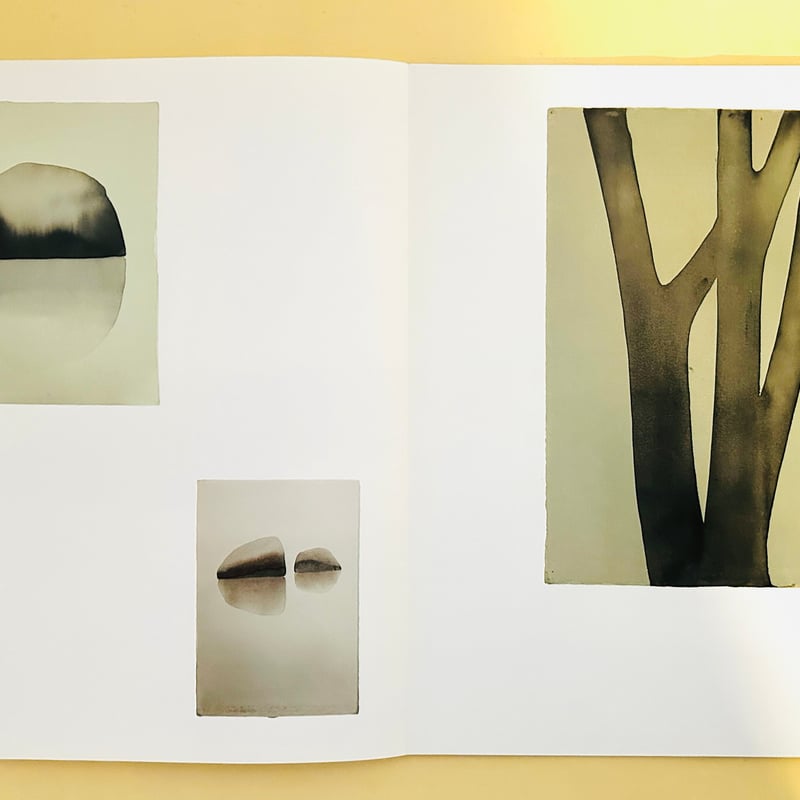 TREES AND ROCKS MATS GUSTAFSON | 誠光社 通信販売 TREES AND ROCKS MATS GUSTAFSON | 誠光社 通信販売
