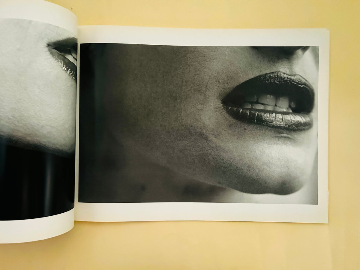 Juergen Teller Stephanie Seymour MORE | 誠光社 通信販売