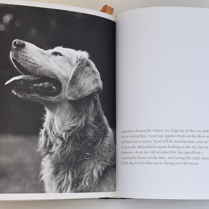 BRUCE WEBER | 誠光社 通信販売