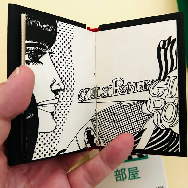 豆本 3面鏡 多田ヒロシ 田名網敬一 久里洋二 希少！ 3面鏡》久里洋二 多田ヒロシ 田名網敬一 | 誠光社 通信販売