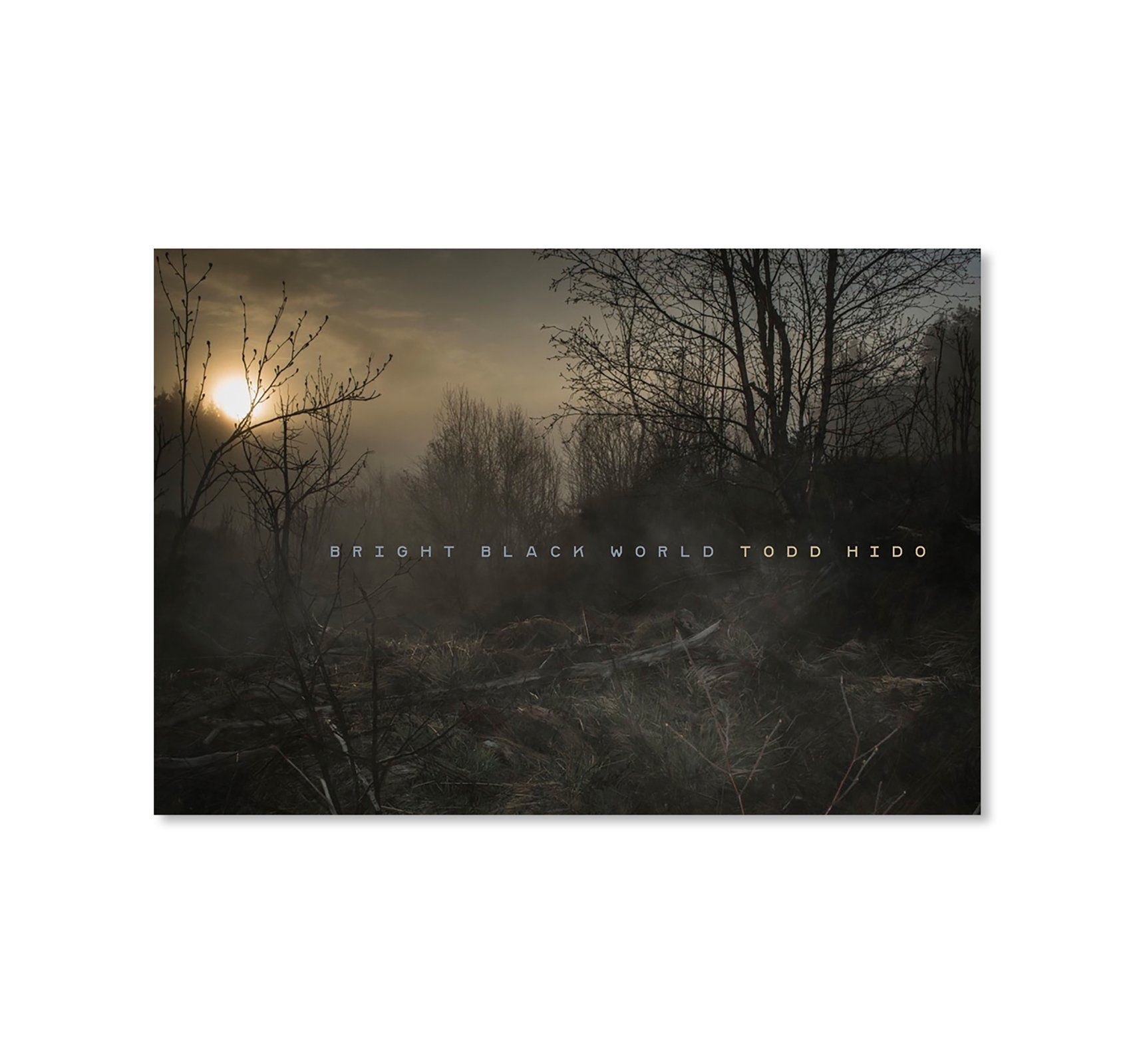 （初版・サイン本） Todd Hido / Bright Black World ご予約・サイン入り》BRIGHT BLACK WORLD | 誠光社 通信販売