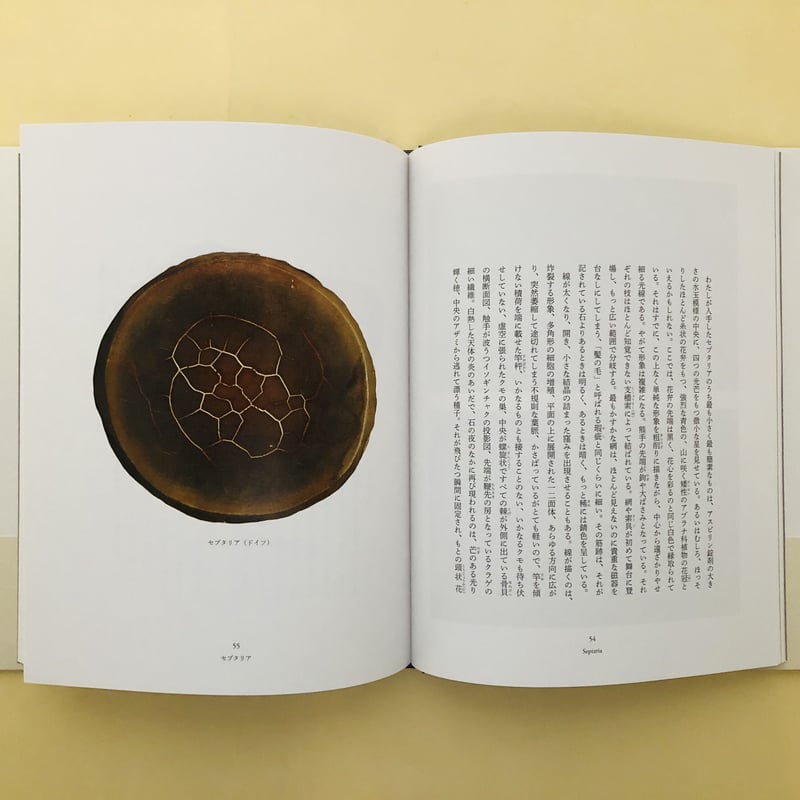 石が書く | 誠光社 通信販売