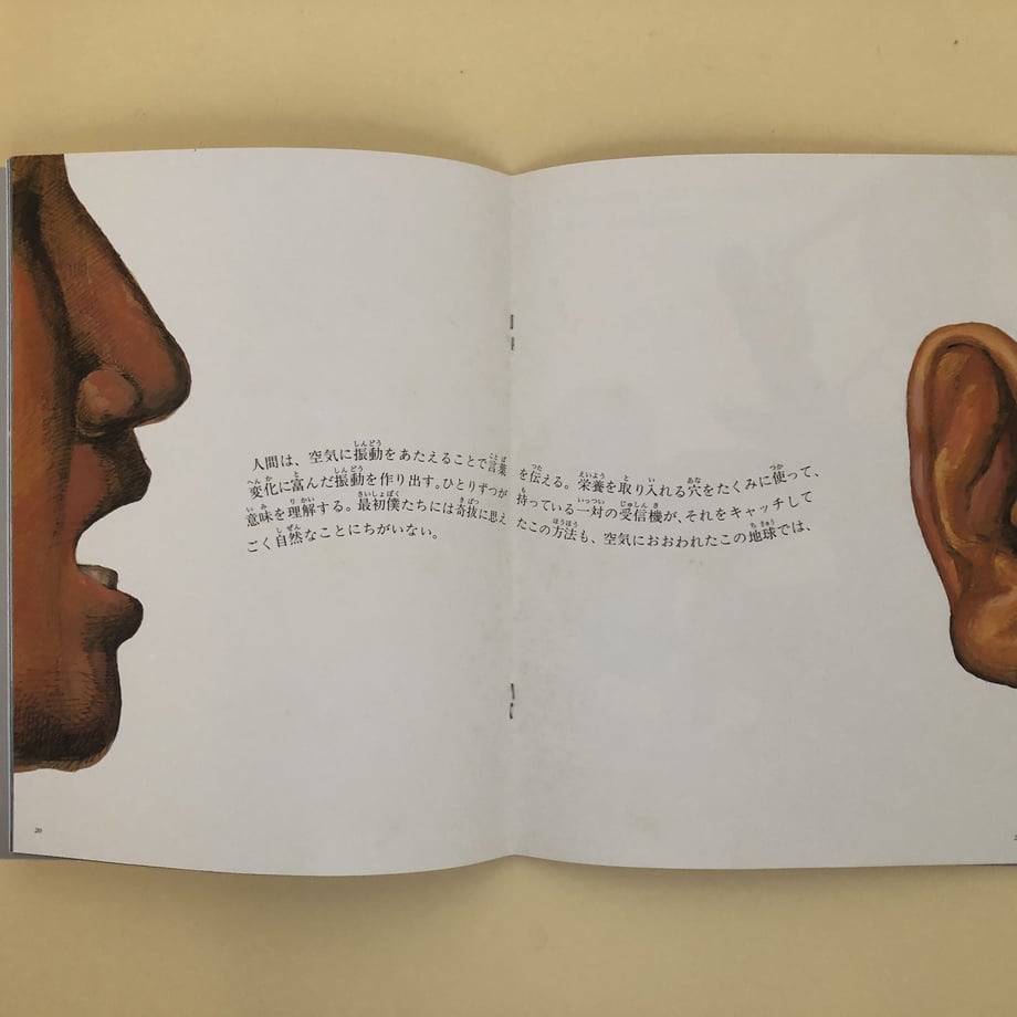 649567ffc3d7cd0039180184