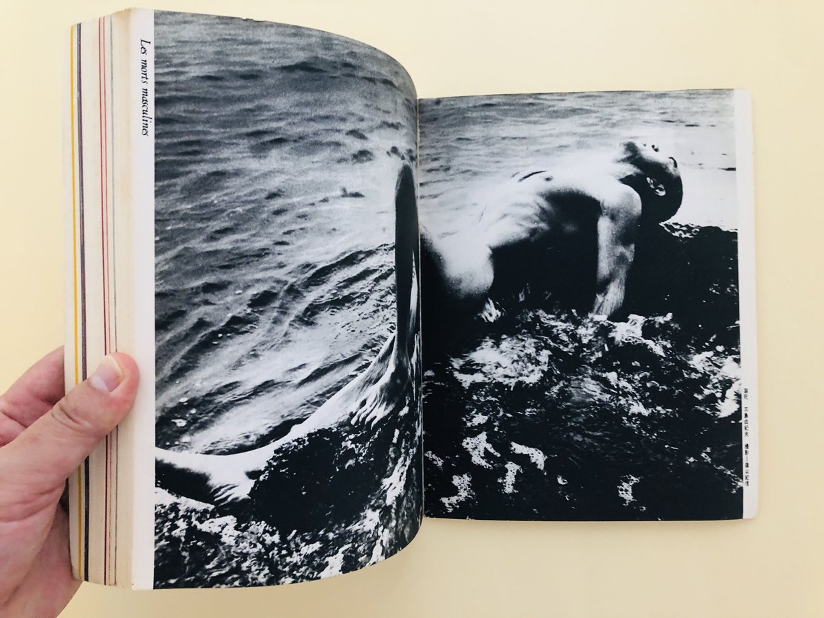 血と薔薇 1968年 No.1 | 誠光社 通信販売