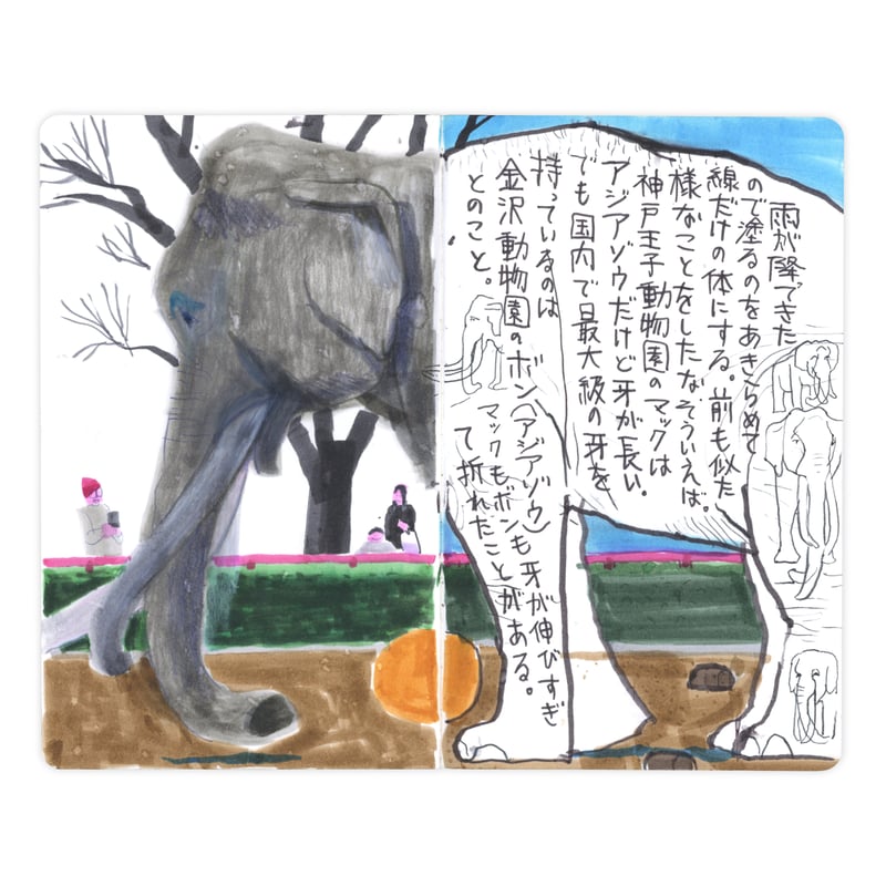 SKETCH FROM THE ZOO | 誠光社 通信販売