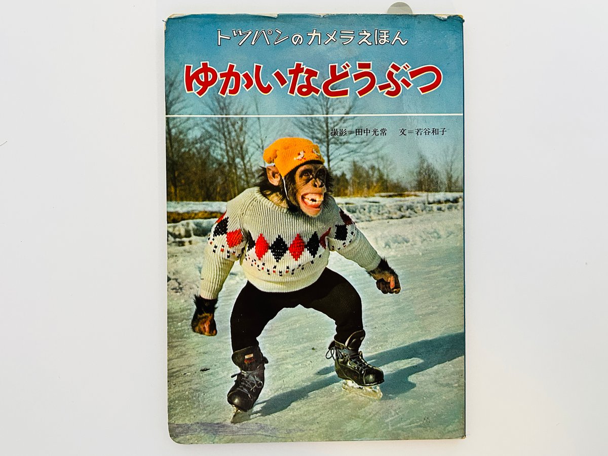 トッパンのカメラえほん ゆかいなどうぶつ | 誠光社 通信販売