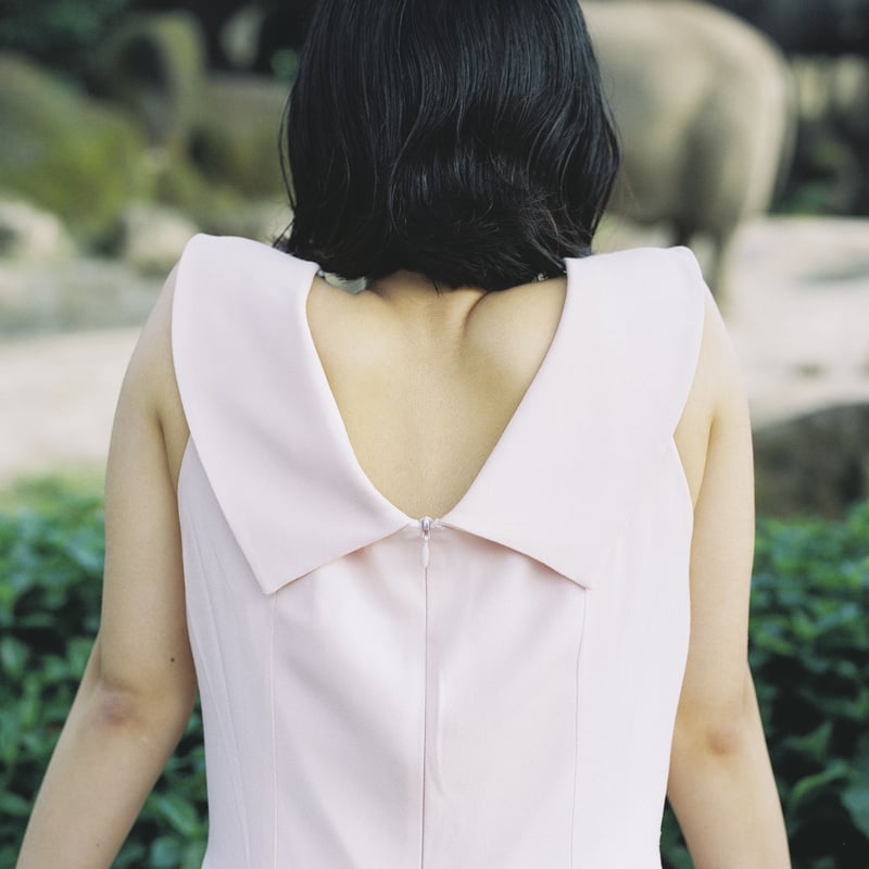 pegasus 01 | 誠光社 通信販売