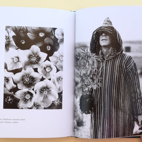 derek jarman's garden
