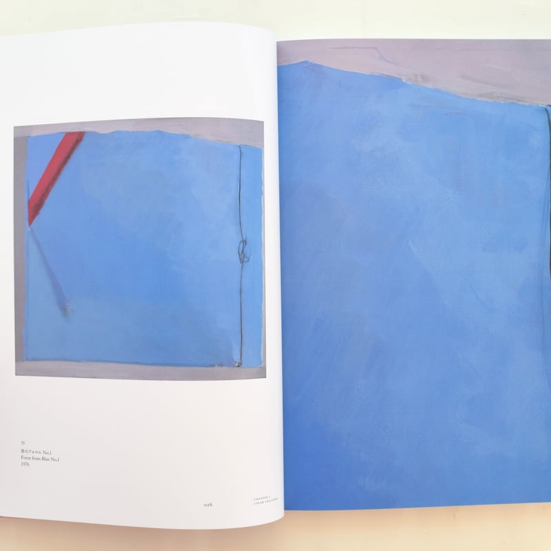 川端実 満ちゆく絵画 | 誠光社 通信販売