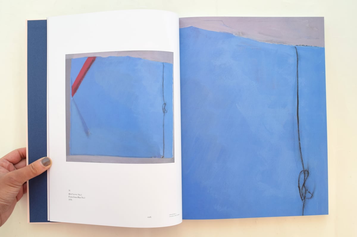 川端実 満ちゆく絵画 | 誠光社 通信販売
