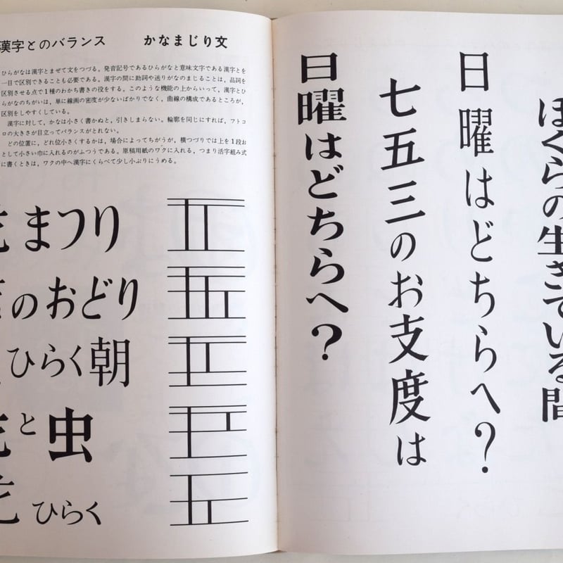 日本字デザイン | 誠光社 通信販売 日本字デザイン | 誠光社 通信販売