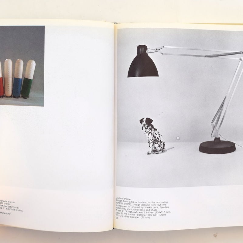 Italy：The New Domestic Landscape | 誠光社 通信販売