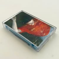 COLOSSAL YOUTH | 誠光社 通信販売