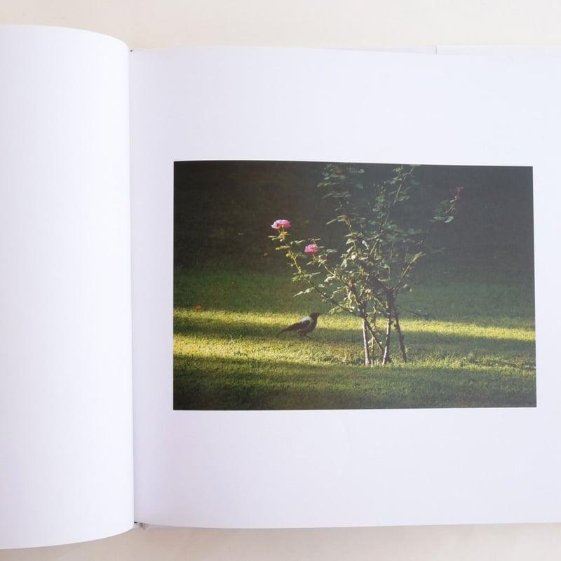 新品 アッバス・キアロスタミ写真集 'PLUIE ET VENT' 新品 アッバス・キアロスタミ写真集 'PLUIE ET VENT' - メルカリ