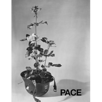 “Poster for Peace” by Albe Steiner