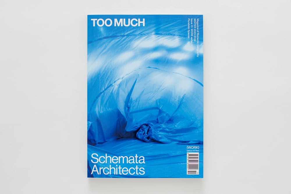 Too much magazine 石川直樹 TOO MUCH Magazine Issue 7 東京発のインディペンデント・マガジン