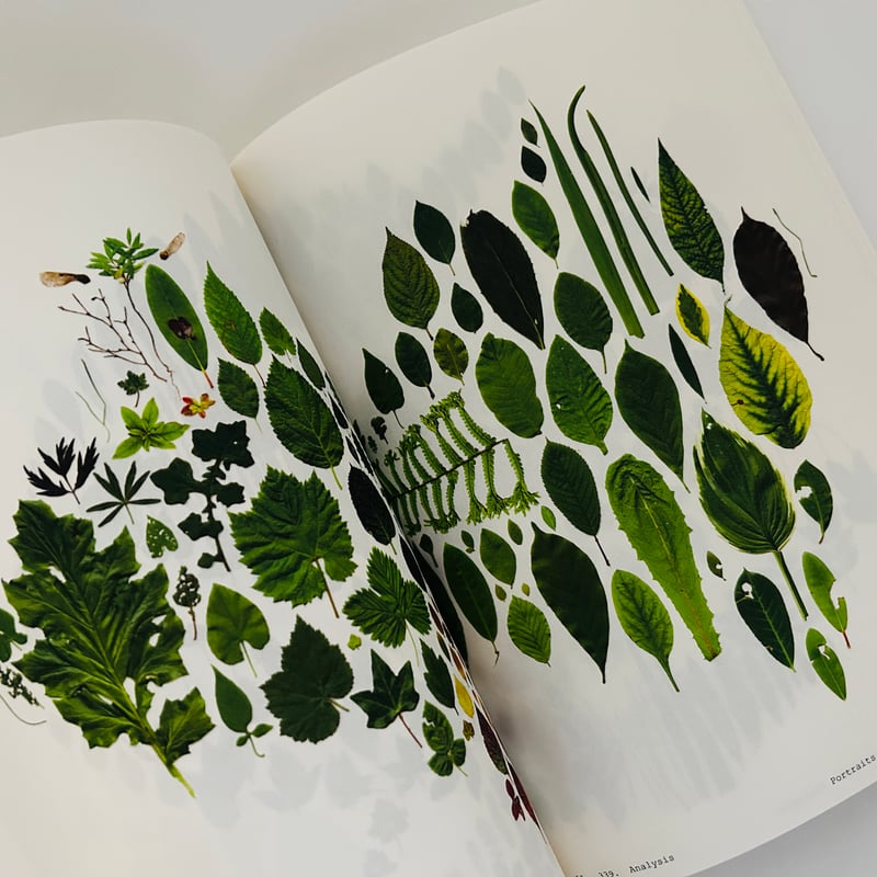BOOK of PLANTS （second edition） | 誠光社 通信販売