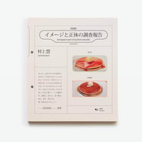 増補版 イメージと正体の調査報告