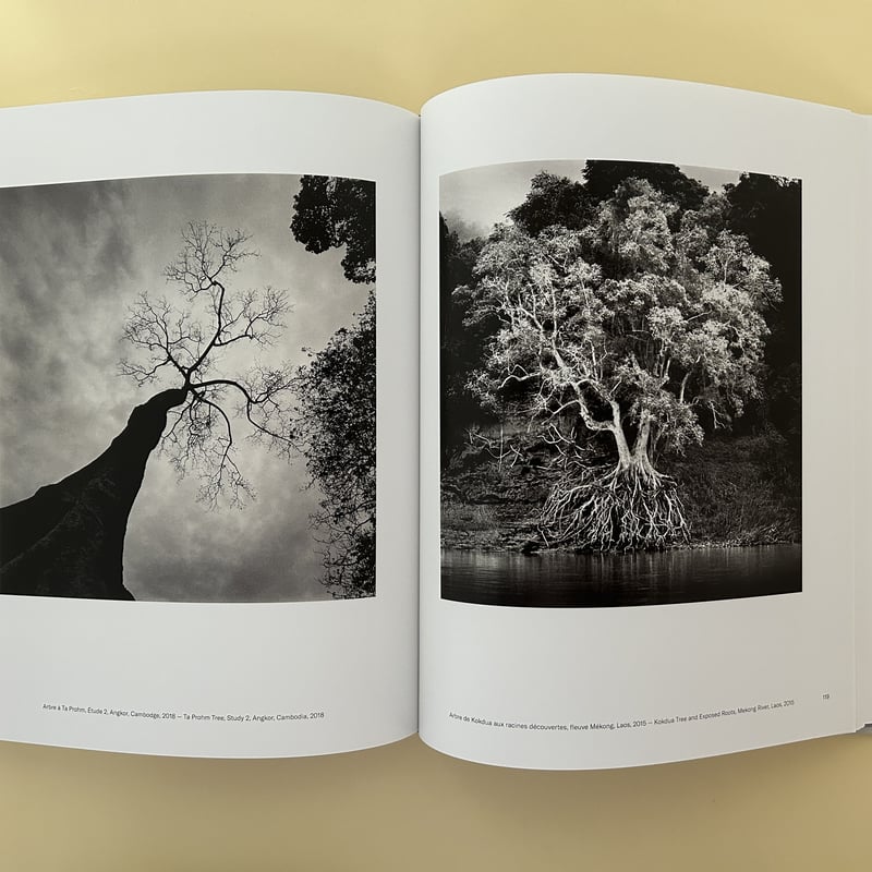 サイン本》MICHAEL KENNA ARBRES / TREES | 誠光社 通信販売