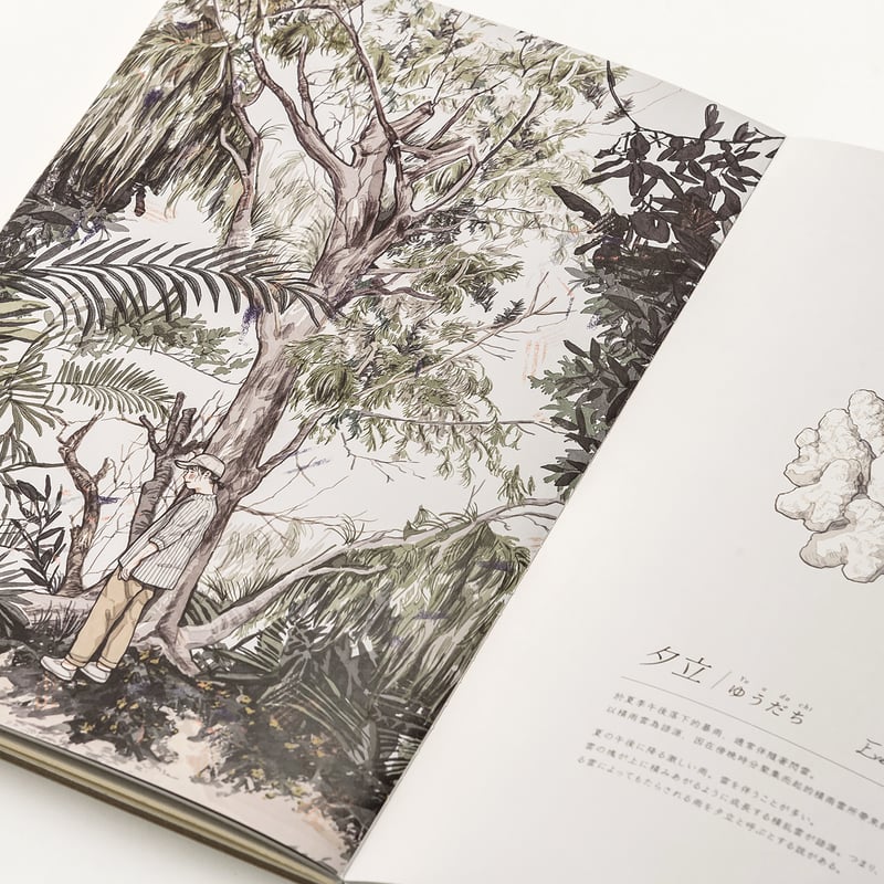 間隙・すきま | 誠光社 通信販売