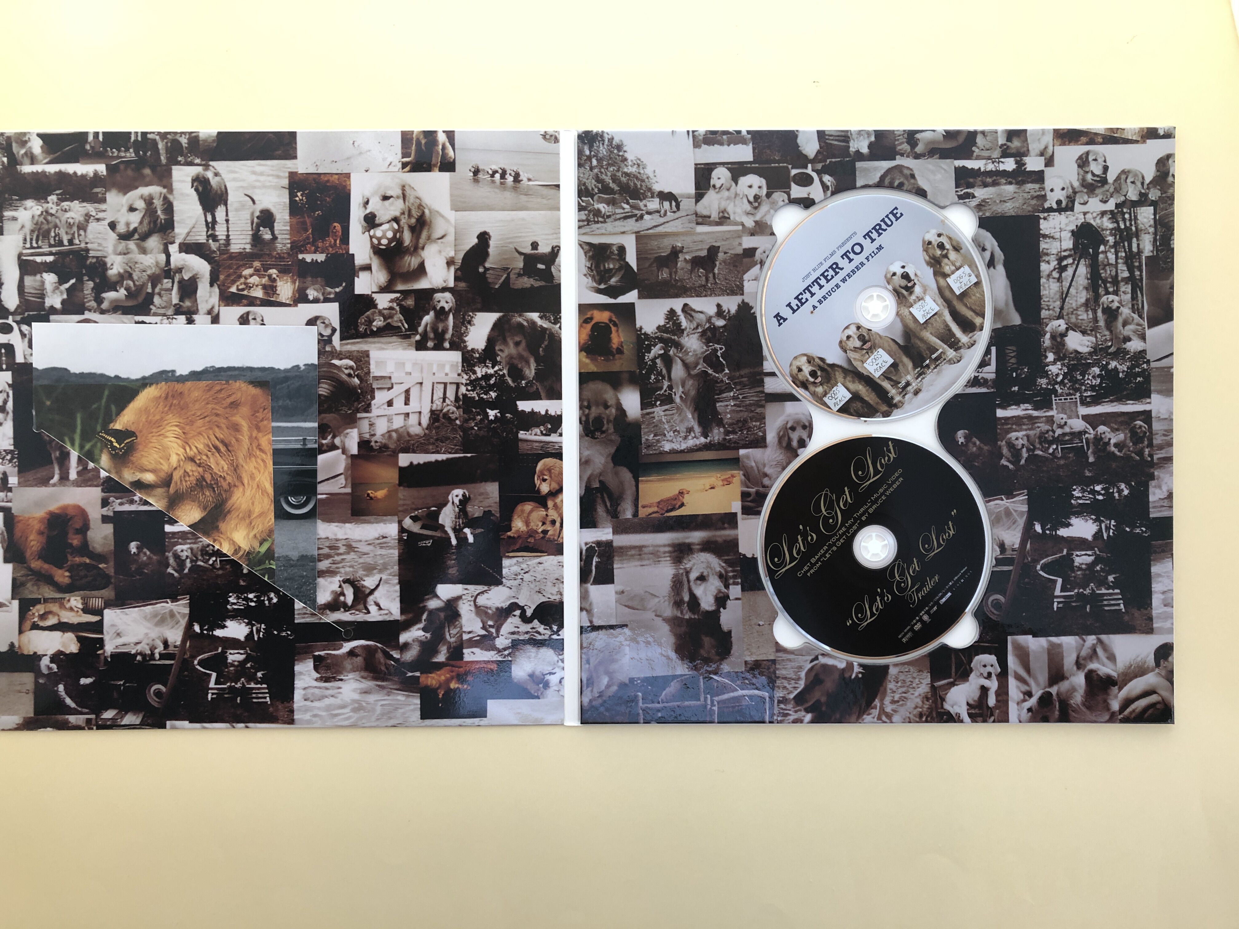 A LETTER TO TRUE COLLECTOR'S BOX | 誠光社 通信販売