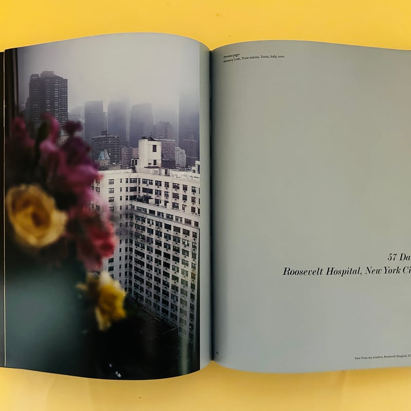 The Devil's Playground | 誠光社 通信販売