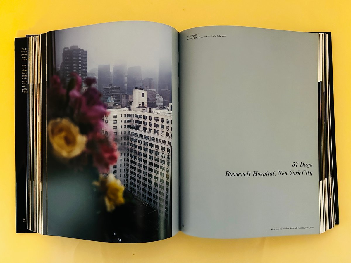 S*r様 Devil's Playground Nan Goldin ナン・ゴー The Devil's Playground | 誠光社 通信販売