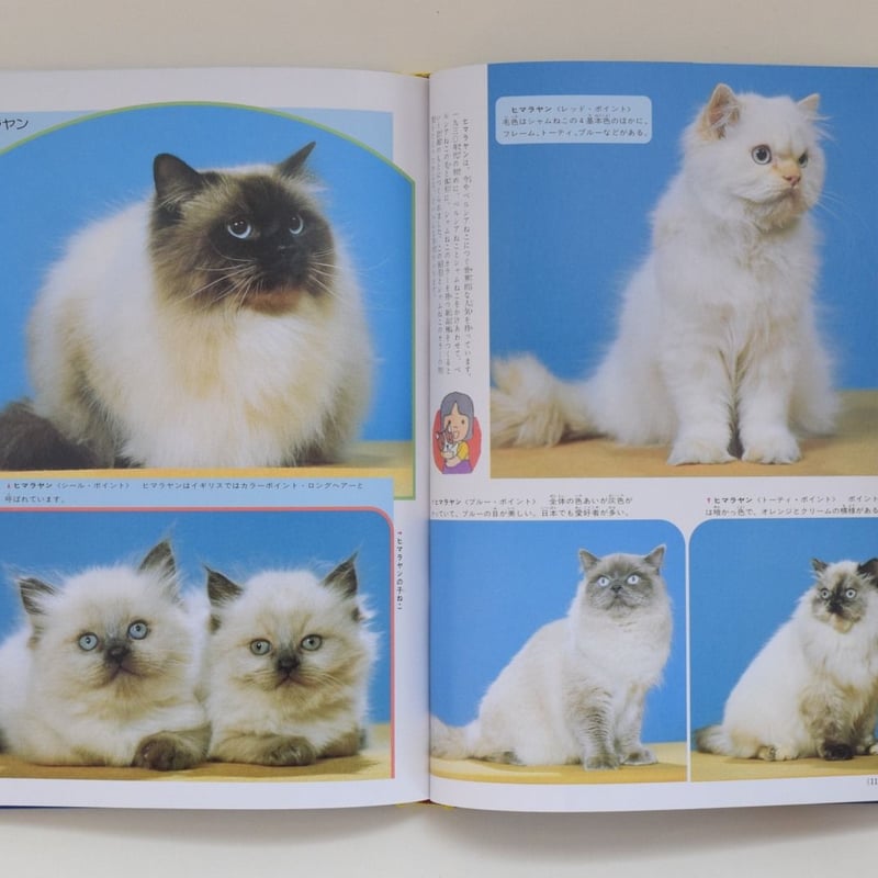 猫*犬様 自然の観察事典 　　偕成社　17冊セット 猫*犬様 自然の観察事典 偕成社 17冊セット
