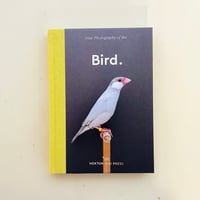 Mies van der Rohe / Photographs by Yoshihiko Ue