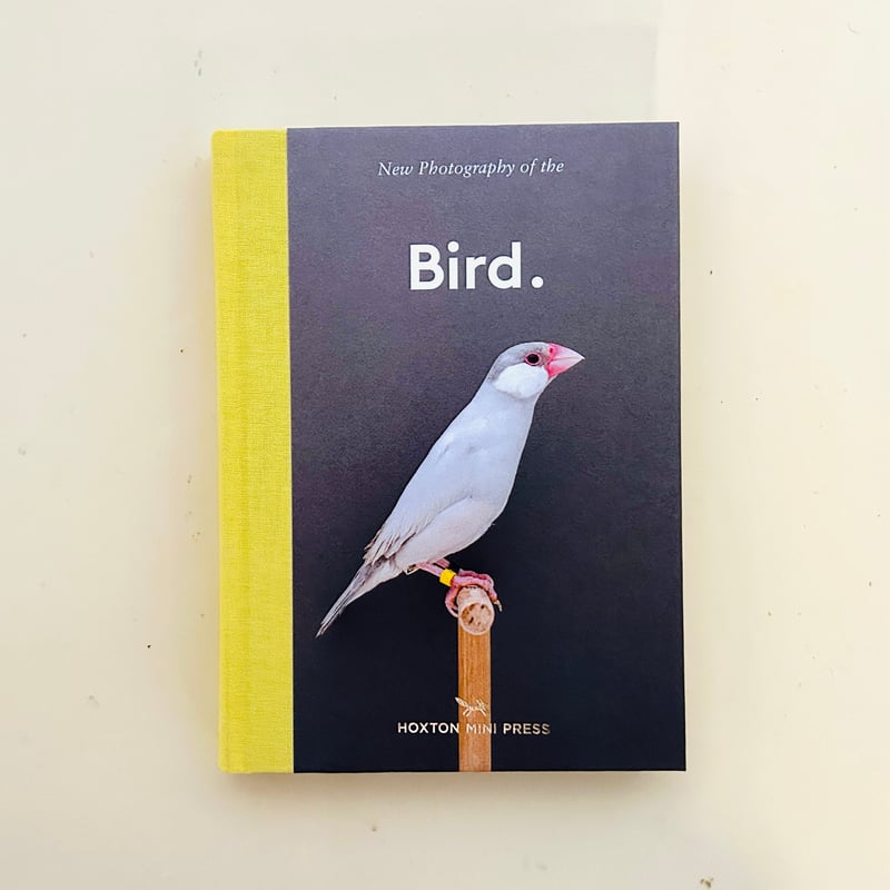 Amazon.co.jp: Luke Stephenson 小鳥の写真集 ルーク