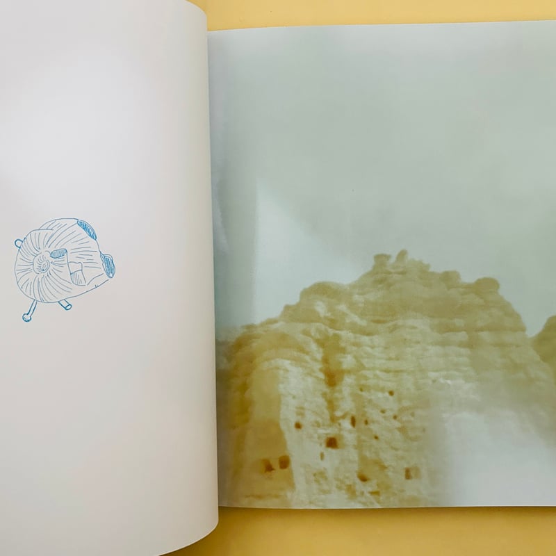 The Light / Mustang 光の王国 | 誠光社 通信販売