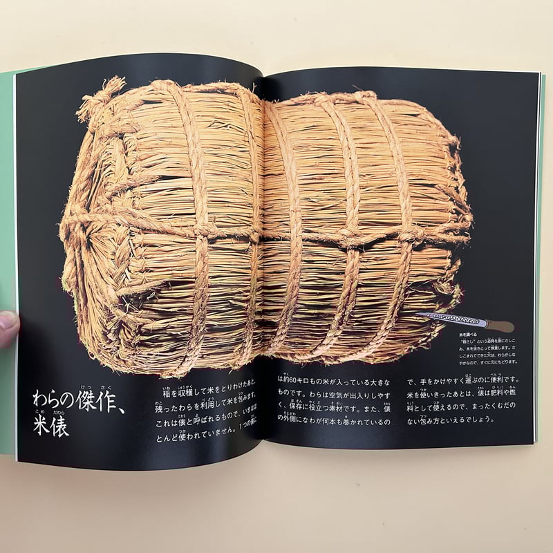 たくさんのふしぎ 2000年6月号 草と木で包む | 誠光社 通信販売