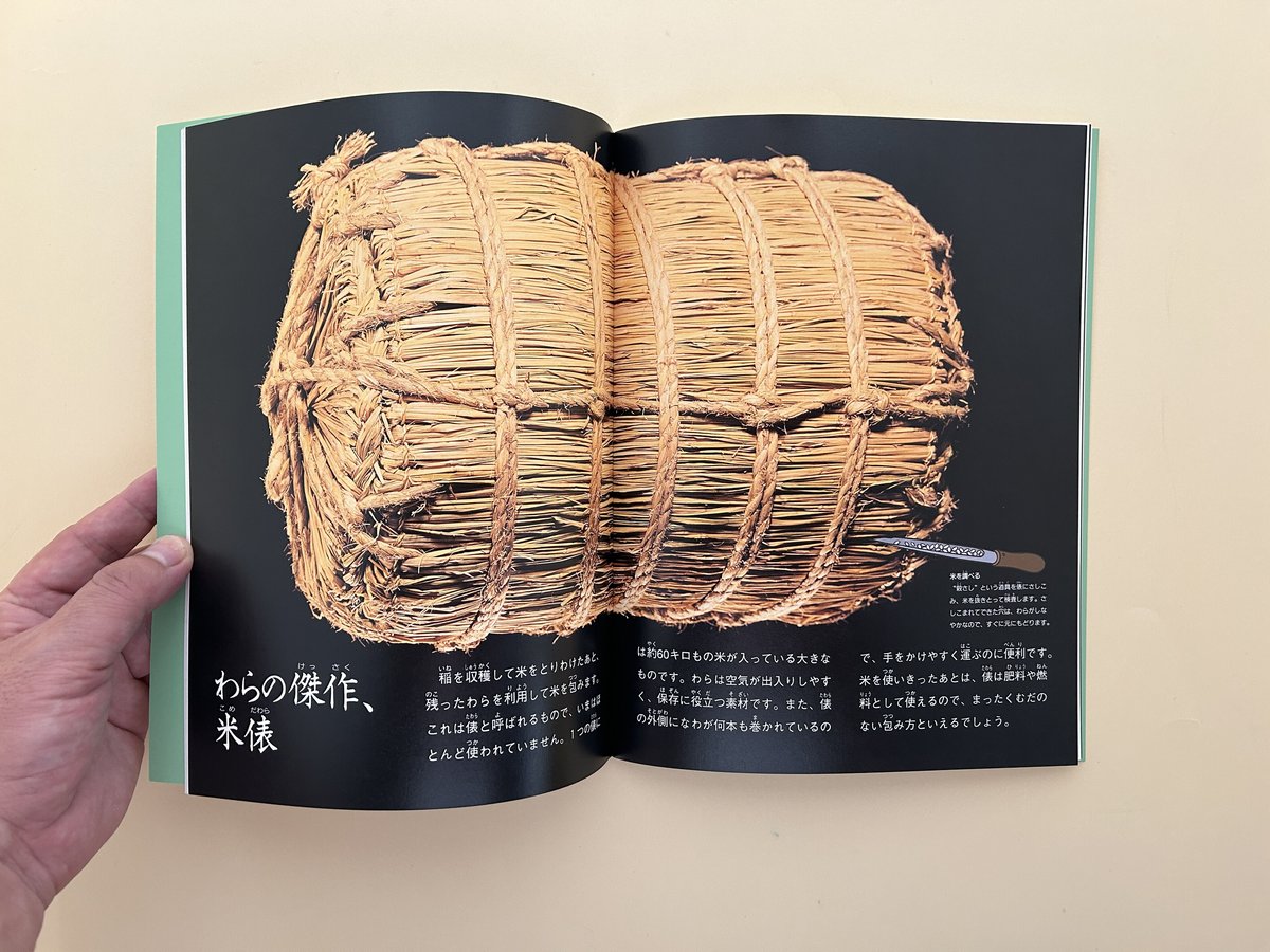 たくさんのふしぎ 2000年6月号 草と木で包む | 誠光社 通信販売