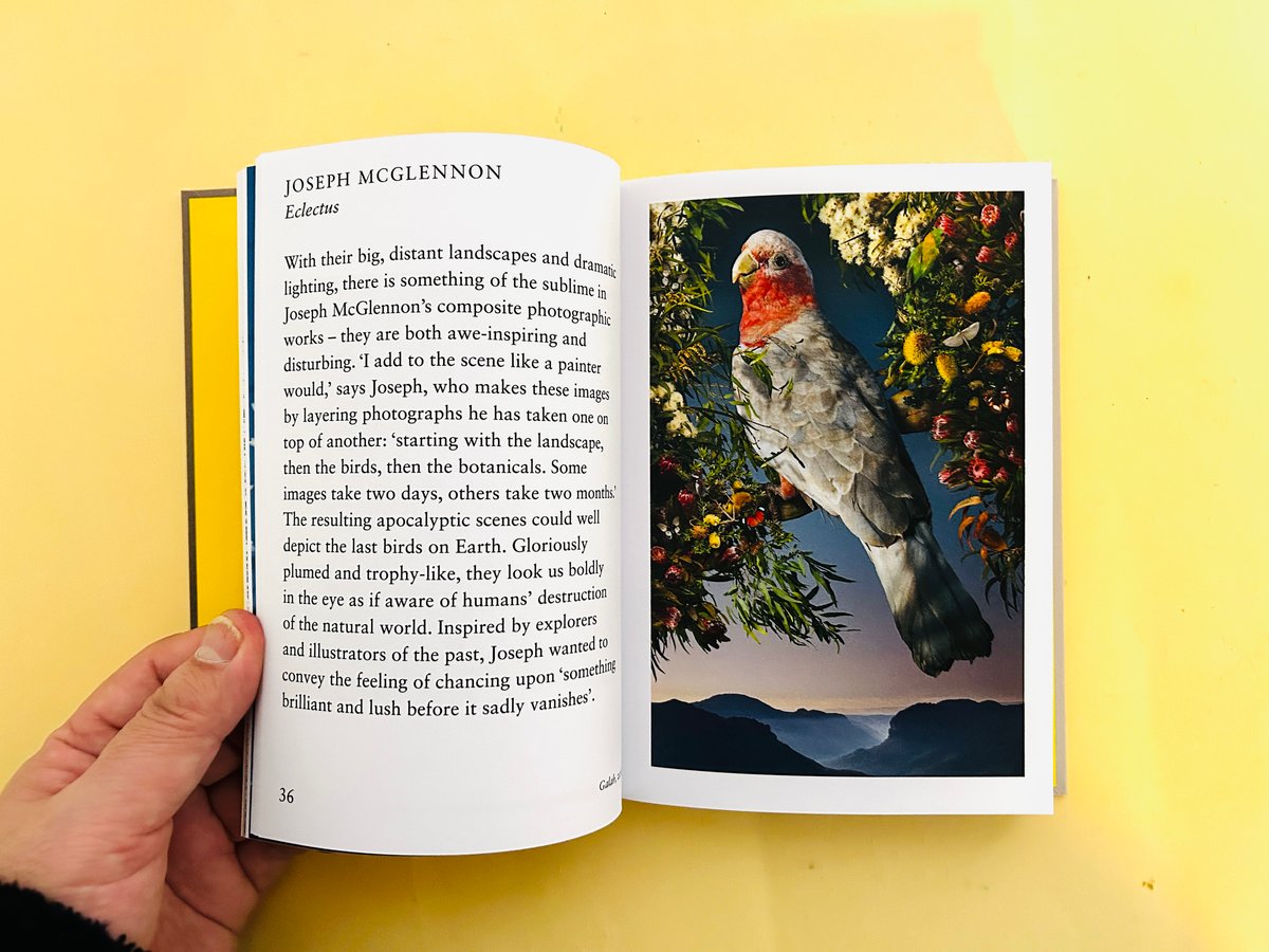 写真集 Habitat du monde 天野 尚 没後10年追悼企画 ］ 大判フィルム写真集 TAKASHI AMANO