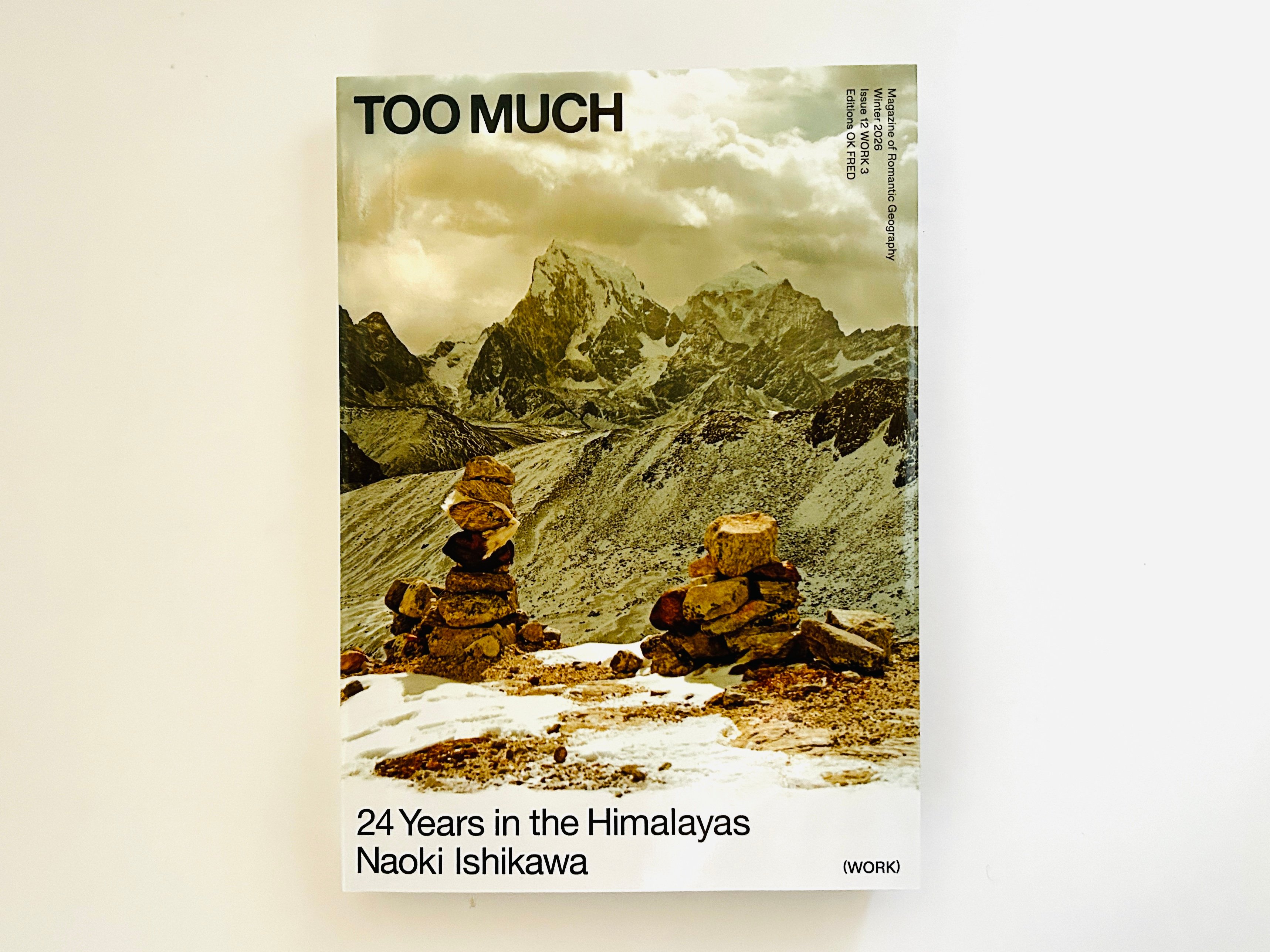 TOO MUCH Magazine Work 3 — Naoki Ishikawa 