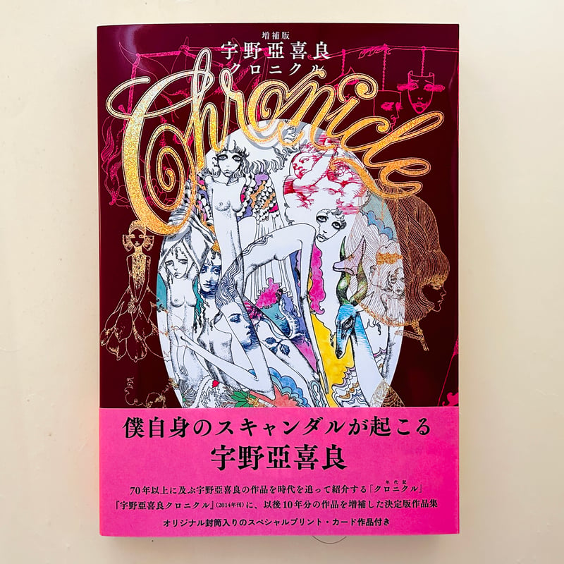 宇野亞喜良クロニクル 大型本 宇野 亞喜良 グラフィック社 本 芸術 う ...