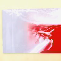 GLEN LUCHFORD ROSELAND | 誠光社 通信販売