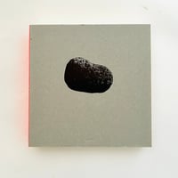 セクシー絵本 クラスメート | 誠光社 通信販売