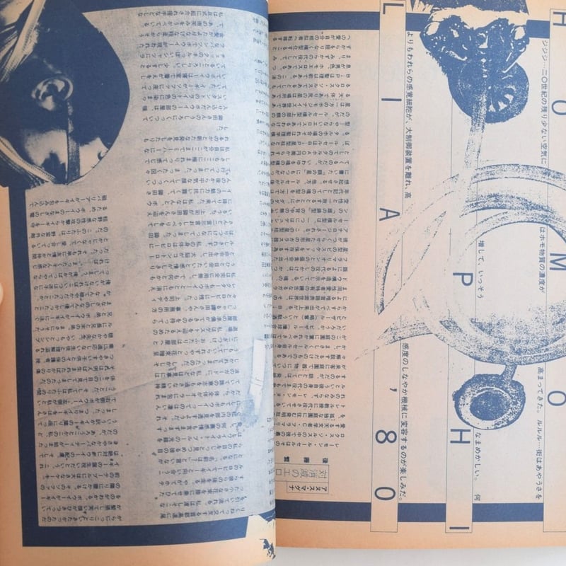 遊ち組「ホモエロス」 | 誠光社 通信販売