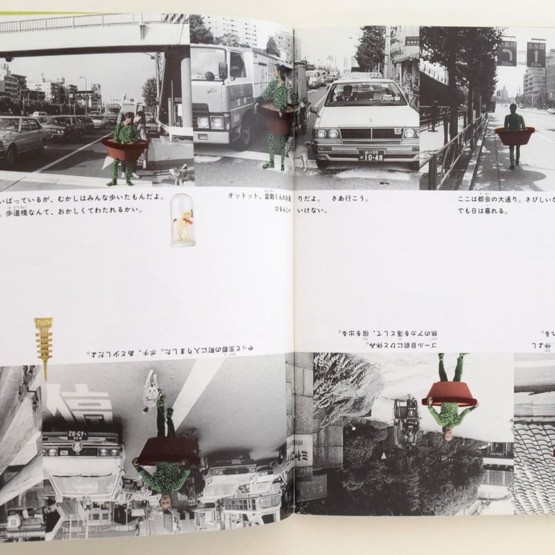 月刊たくさんのふしぎ 1995年9月号 ぼくは盆栽 | 誠光社 通信販売