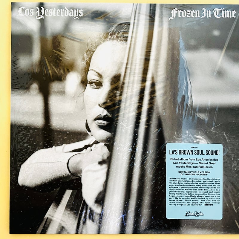 FROZEN IN TIME | 誠光社 通信販売