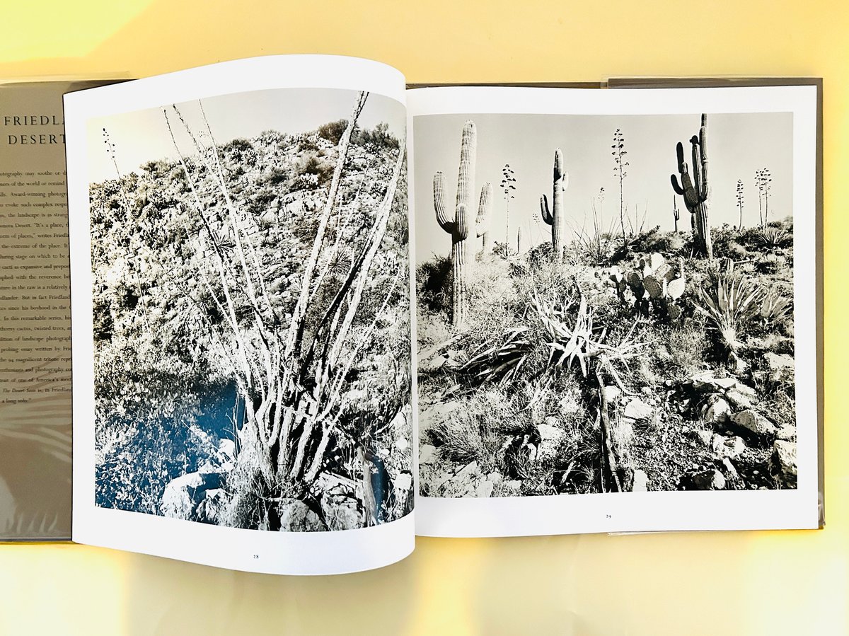 THE DESERT SEEN | 誠光社 通信販売