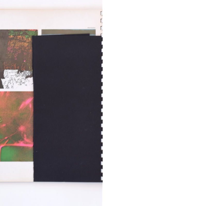 The Day・Glo Designer's Guide | 誠光社 通信販売