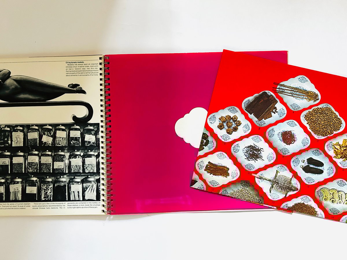 Champion Papers Imagination 北欧　チャンピオン Champion Papers Imagination 北欧 チャンピオン