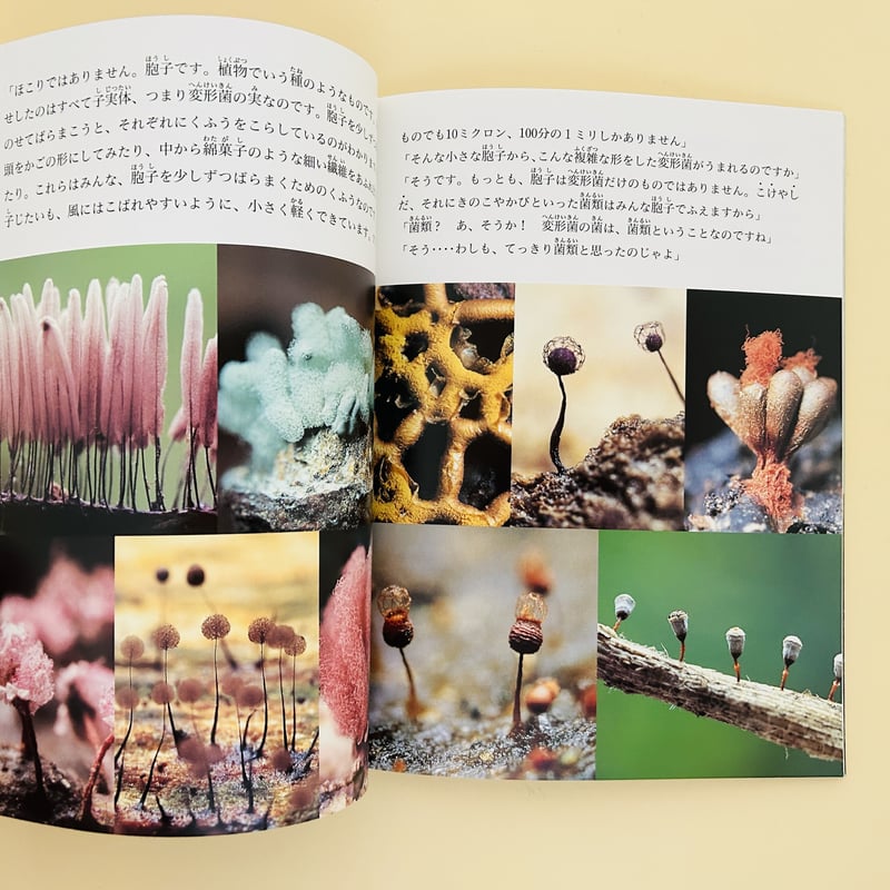 たくさんのふしぎ 2003年6月号 変形菌な人びと | 誠光社 通信販売