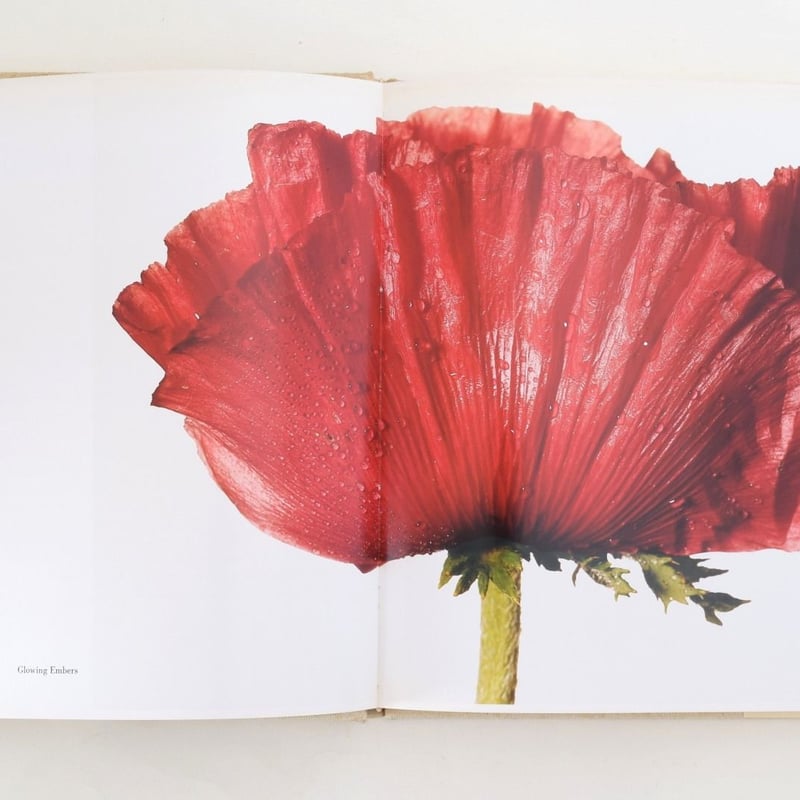 FLOWERS IRVING PENN | 誠光社 通信販売