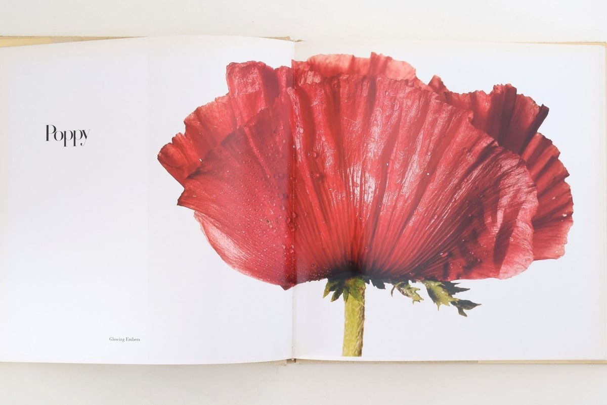 FLOWERS】Irving Penn 花の写真集 アーヴィング・ペン 洋書 フラワーズ ...