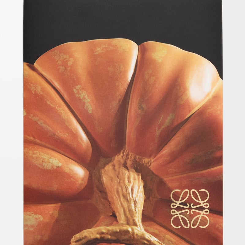 ご予約》CRAFTED WORLD: JONATHAN ANDERSON'S LOEWE |