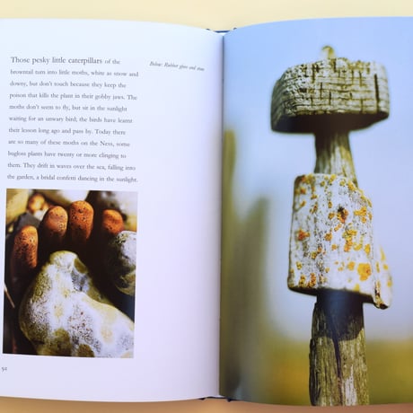derek jarman's garden