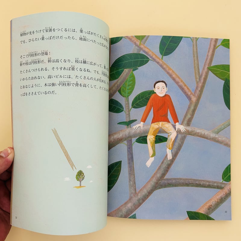 たくさんのふしぎ 2004年10月号 絵とき 生きものは円柱形 | 誠光社